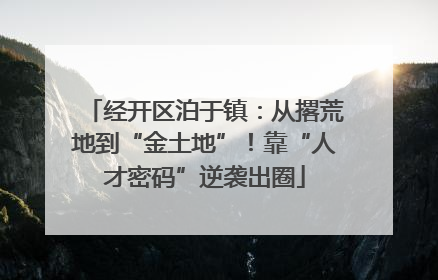 经开区泊于镇：从撂荒地到“金土地”！靠“人才密码”逆袭出圈