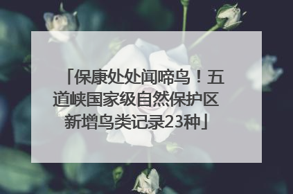 保康处处闻啼鸟！五道峡国家级自然保护区新增鸟类记录23种