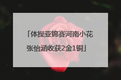 体操亚锦赛河南小花张怡涵收获2金1铜