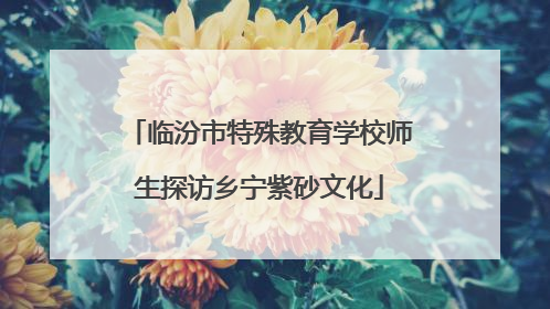 临汾市特殊教育学校师生探访乡宁紫砂文化