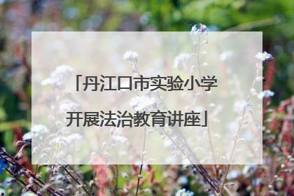 丹江口市实验小学开展法治教育讲座