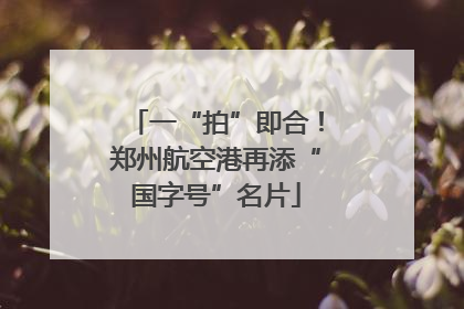 一“拍”即合！郑州航空港再添“国字号”名片