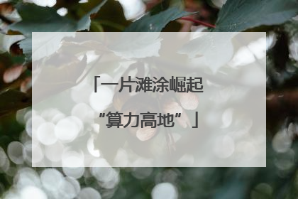 一片滩涂崛起“算力高地”