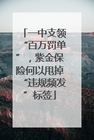 一中支领“百万罚单”，紫金保险何以甩掉“违规频发”标签