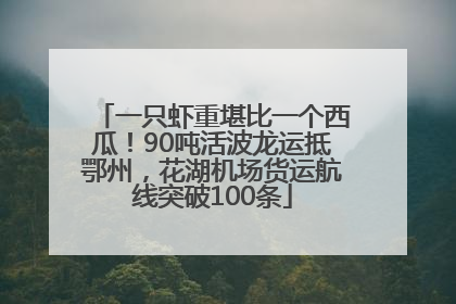 一只虾重堪比一个西瓜！90吨活波龙运抵鄂州，花湖机场货运航线突破100条
