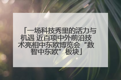 一场科技秀里的活力与机遇 近百项中外前沿技术亮相中东欧博览会“数智中东欧”板块