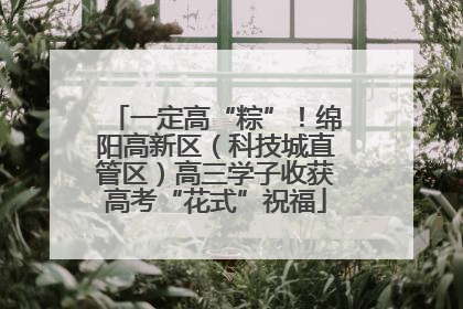 一定高“粽”！绵阳高新区（科技城直管区）高三学子收获高考“花式”祝福