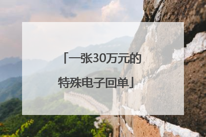 一张30万元的特殊电子回单