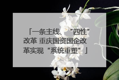 一条主线、“四性”改革 重庆国资国企改革实现“系统重塑”