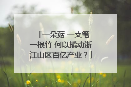 一朵菇 一支笔 一根竹 何以撬动浙江山区百亿产业？