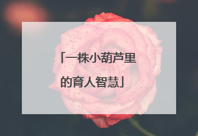 一株小葫芦里的育人智慧