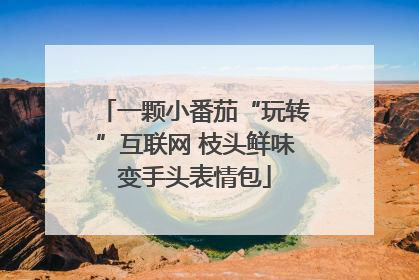 一颗小番茄“玩转”互联网 枝头鲜味变手头表情包