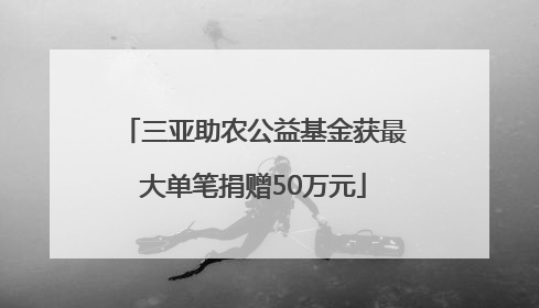 三亚助农公益基金获最大单笔捐赠50万元