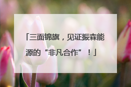 三面锦旗，见证振森能源的“非凡合作”！