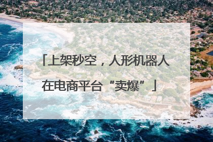 上架秒空，人形机器人在电商平台“卖爆”
