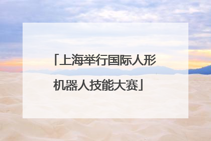 上海举行国际人形机器人技能大赛