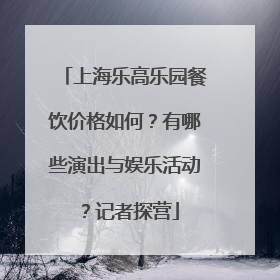 上海乐高乐园餐饮价格如何？有哪些演出与娱乐活动？记者探营