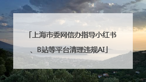 上海市委网信办指导小红书、B站等平台清理违规AI