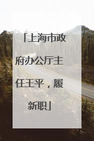 上海市政府办公厅主任王平，履新职