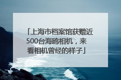 上海市档案馆获赠近500台海鸥相机，来看相机曾经的样子
