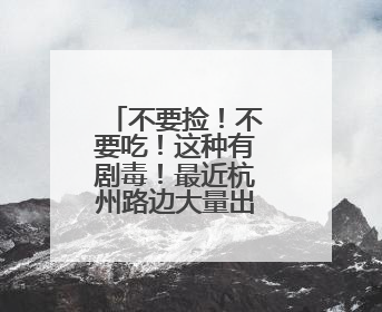 不要捡！不要吃！这种有剧毒！最近杭州路边大量出现蘑菇……