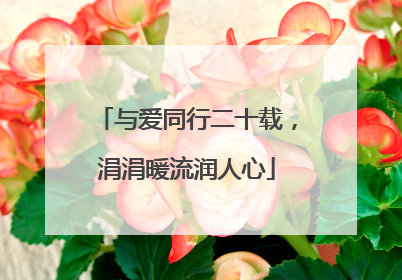 与爱同行二十载，涓涓暖流润人心