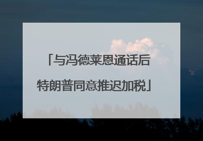 与冯德莱恩通话后 特朗普同意推迟加税