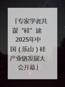专家学者共谋“硅”途 2025年中国（乐山）硅产业链发展大会开幕