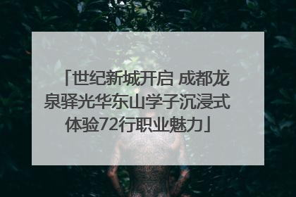 世纪新城开启 成都龙泉驿光华东山学子沉浸式体验72行职业魅力