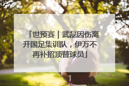 世预赛｜武磊因伤离开国足集训队，伊万不再补招顶替球员