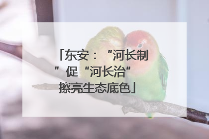 东安：“河长制”促“河长治” 擦亮生态底色