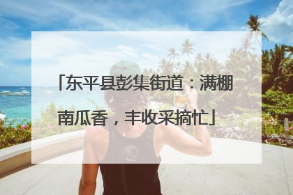 东平县彭集街道：满棚南瓜香，丰收采摘忙