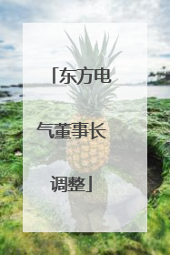 东方电气董事长调整