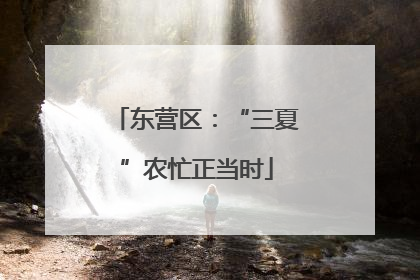 东营区：“三夏”农忙正当时