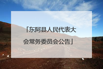 东阿县人民代表大会常务委员会公告