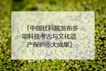中国社科院发布多项科技考古与文化遗产保护重大成果