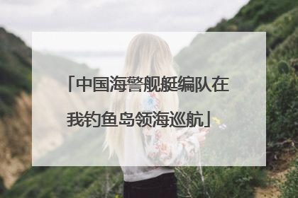 中国海警舰艇编队在我钓鱼岛领海巡航