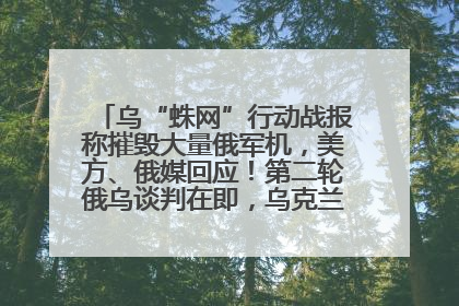 乌“蛛网”行动战报称摧毁大量俄军机，美方、俄媒回应！第二轮俄乌谈判在即，乌克兰提出三大诉求