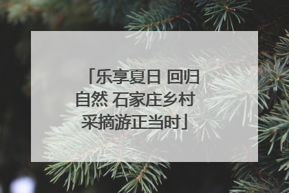 乐享夏日 回归自然 石家庄乡村采摘游正当时
