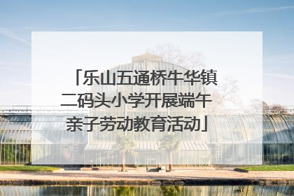 乐山五通桥牛华镇二码头小学开展端午亲子劳动教育活动