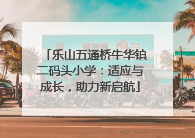 乐山五通桥牛华镇二码头小学：适应与成长，助力新启航