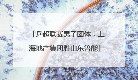 乒超联赛男子团体：上海地产集团胜山东鲁能