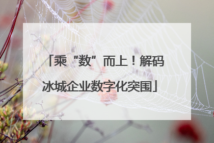 乘“数”而上！解码冰城企业数字化突围