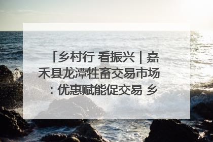 乡村行 看振兴｜嘉禾县龙潭牲畜交易市场：优惠赋能促交易 乡村振兴添动能