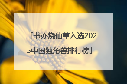 书亦烧仙草入选2025中国独角兽排行榜