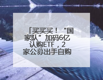 买买买！“国家队”加码6亿认购ETF，2家公募出手自购旗下新基千万