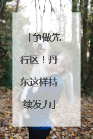 争做先行区！丹东这样持续发力