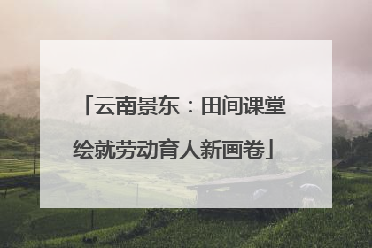 云南景东：田间课堂绘就劳动育人新画卷