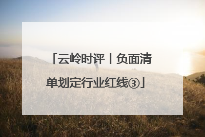 云岭时评丨负面清单划定行业红线③