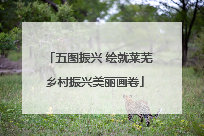 五图振兴 绘就莱芜乡村振兴美丽画卷